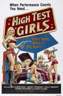 Шесть шведок с бензоколонки онлайн бесплатно