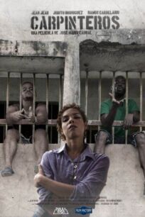 Дятлы онлайн бесплатно