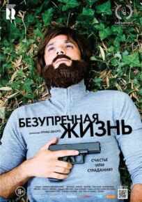 Безупречная жизнь онлайн бесплатно