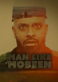 Man Like Mobeen (2016)