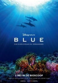 Дельфины онлайн бесплатно