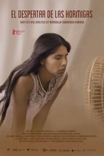 Пробуждение муравьев онлайн бесплатно