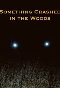 Крушение в лесу (2019)