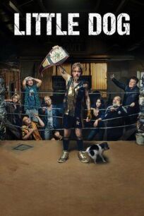 Маленькая собака онлайн бесплатно
