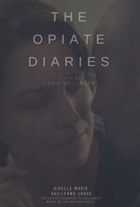 Дневник наркоманки онлайн бесплатно