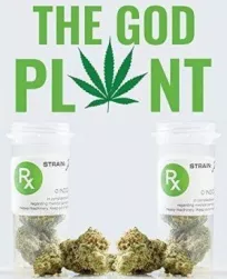 Божественное растение (2018)