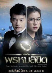 Обречён любить тебя онлайн бесплатно