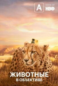 Животные с объективом онлайн бесплатно