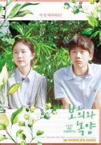 Парень и зелёная ива онлайн бесплатно