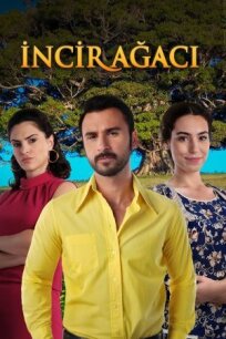 Incir Agaci (2019)