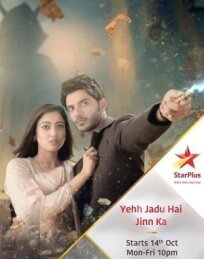 Когда Джин творит чудеса (2019)