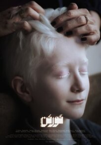 Барсук онлайн бесплатно