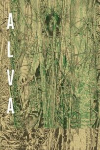 Рассвет онлайн бесплатно