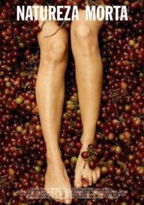 Натюрморт онлайн бесплатно