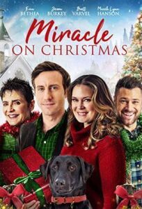 Рождественское Чудо онлайн бесплатно