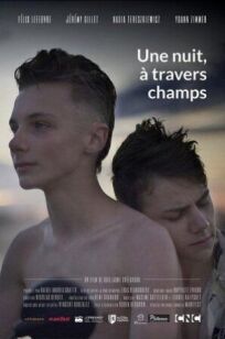 Однажды ночью через поля онлайн бесплатно