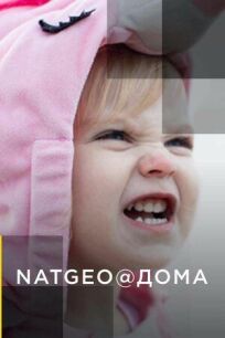 NatGeo@Дома (2009)
