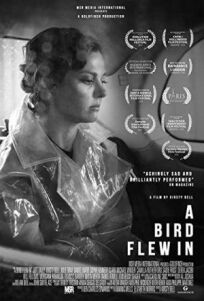 Залётная птица (2021)