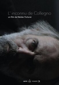 L'inconnu de Collegno онлайн бесплатно