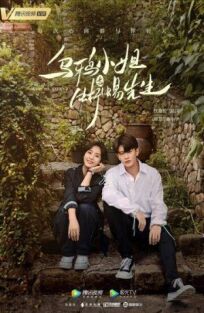 Мисс Ворона и мистер Ящерица онлайн бесплатно