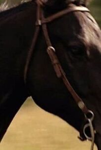 Дневник Хлои онлайн бесплатно