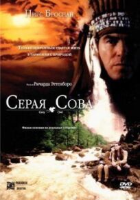 Серая сова (1999)