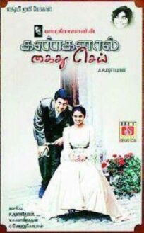 В плену твоих глаз (2004)