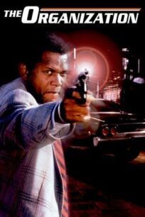 Организация онлайн бесплатно