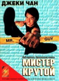 Мистер Крутой (1996)