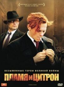 Пламя и Цитрон онлайн бесплатно