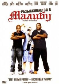 Разыскиваются в Малибу онлайн бесплатно