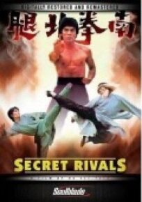 Тайные соперники (1976)