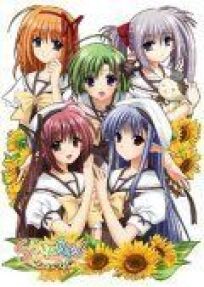 Шафл онлайн бесплатно