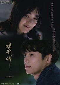 Маленькая птичка (2021)