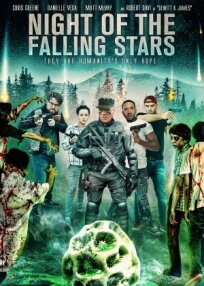 Night of the Falling Stars онлайн бесплатно