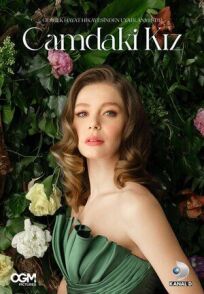 Девушка за стеклом онлайн бесплатно