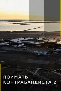 Поймать контрабандиста онлайн бесплатно