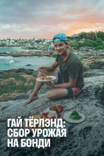 Гай Тёрлэнд: Сбор урожая на Бонди (2018)