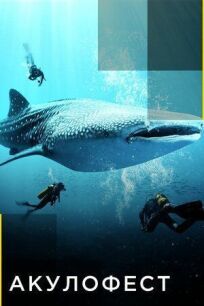 Акулофест онлайн бесплатно