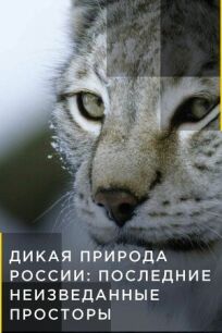 Дикая природа России: Последние неизведанные просторы онлайн бесплатно