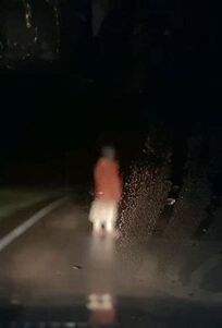 Регистратор онлайн бесплатно