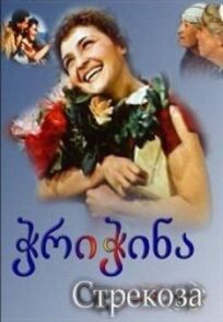 Стрекоза онлайн бесплатно