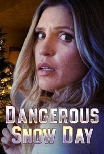 Опасный зимний день онлайн бесплатно