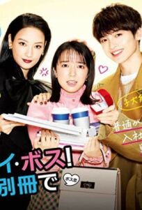 О, мой босс! Любовь — это бонусная книга онлайн бесплатно