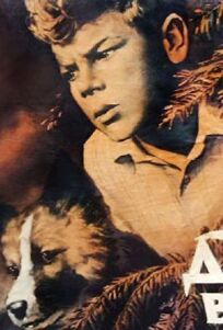 Дым в лесу онлайн бесплатно