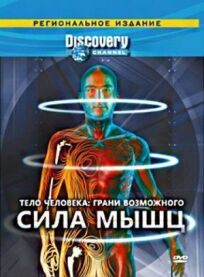 Discovery: Тело человека. Грани возможного онлайн бесплатно