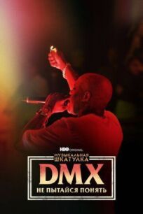 Музыкальная шкатулка. DMX: Не пытайся понять онлайн бесплатно