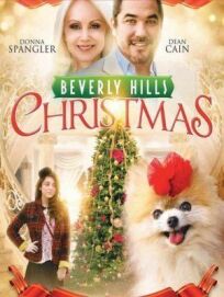 Рождество в Беверли-Хиллз (2009)