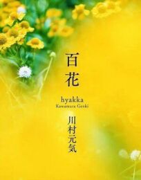 Сотня цветов онлайн бесплатно