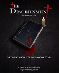 The Discernment онлайн бесплатно